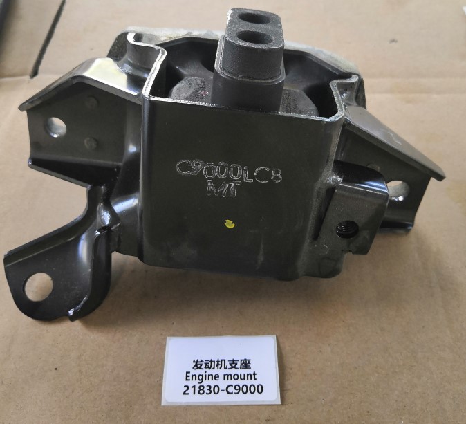 21830-C9000