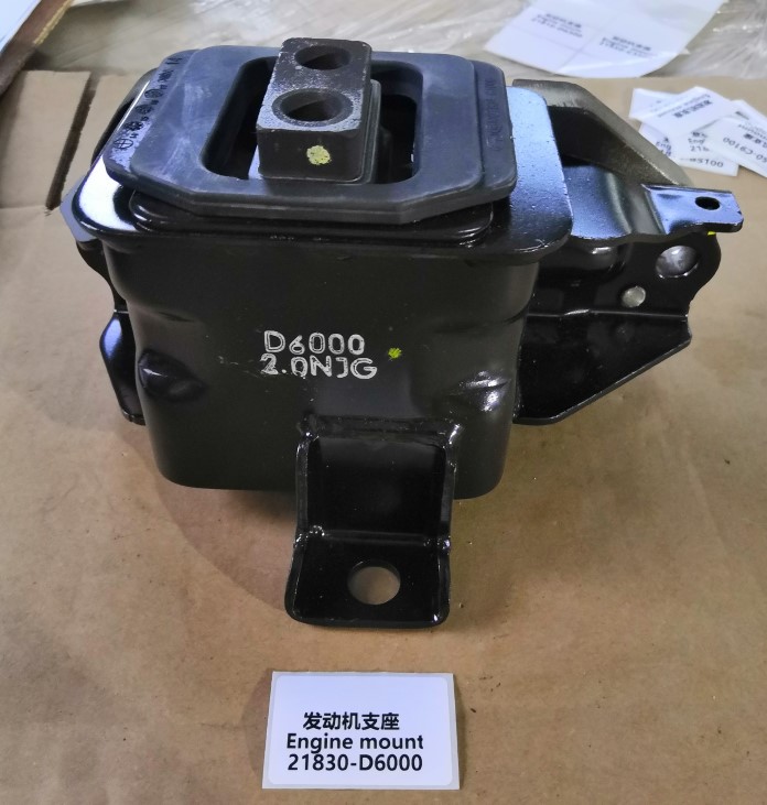 21830-D6000