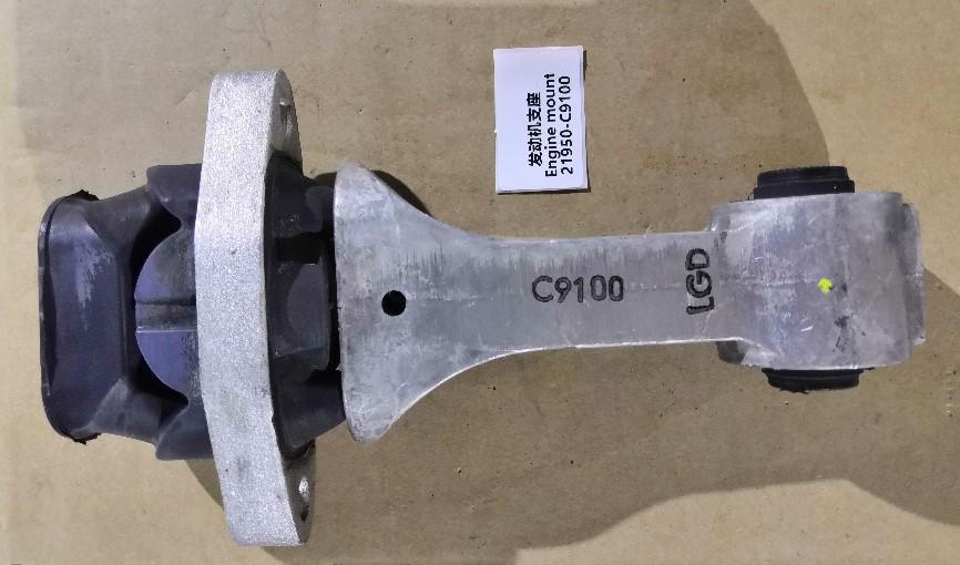 21950-C9100