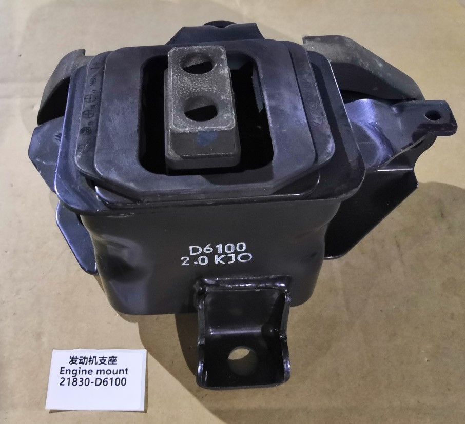 21830-D6100
