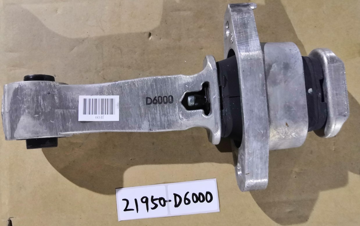 21950-D6000