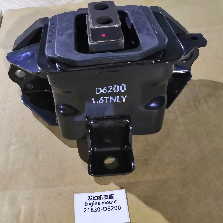 21830-D6200