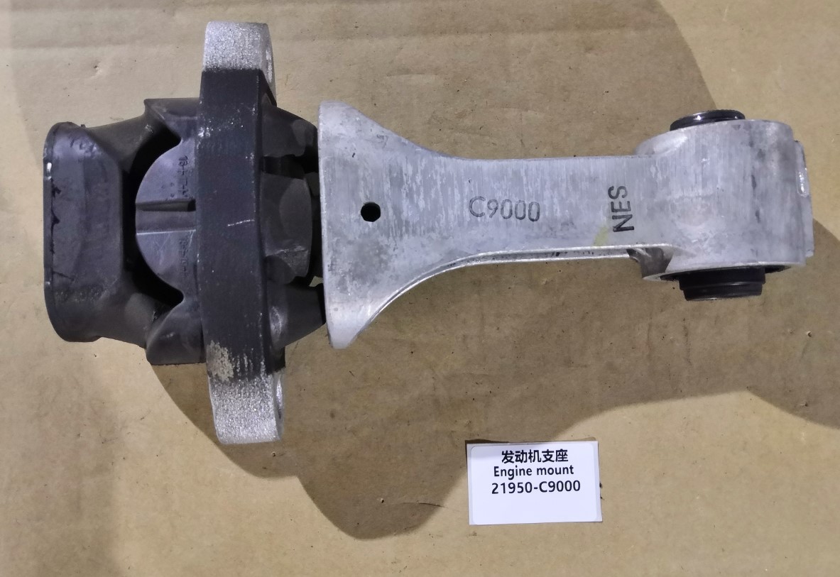 21950-C9000